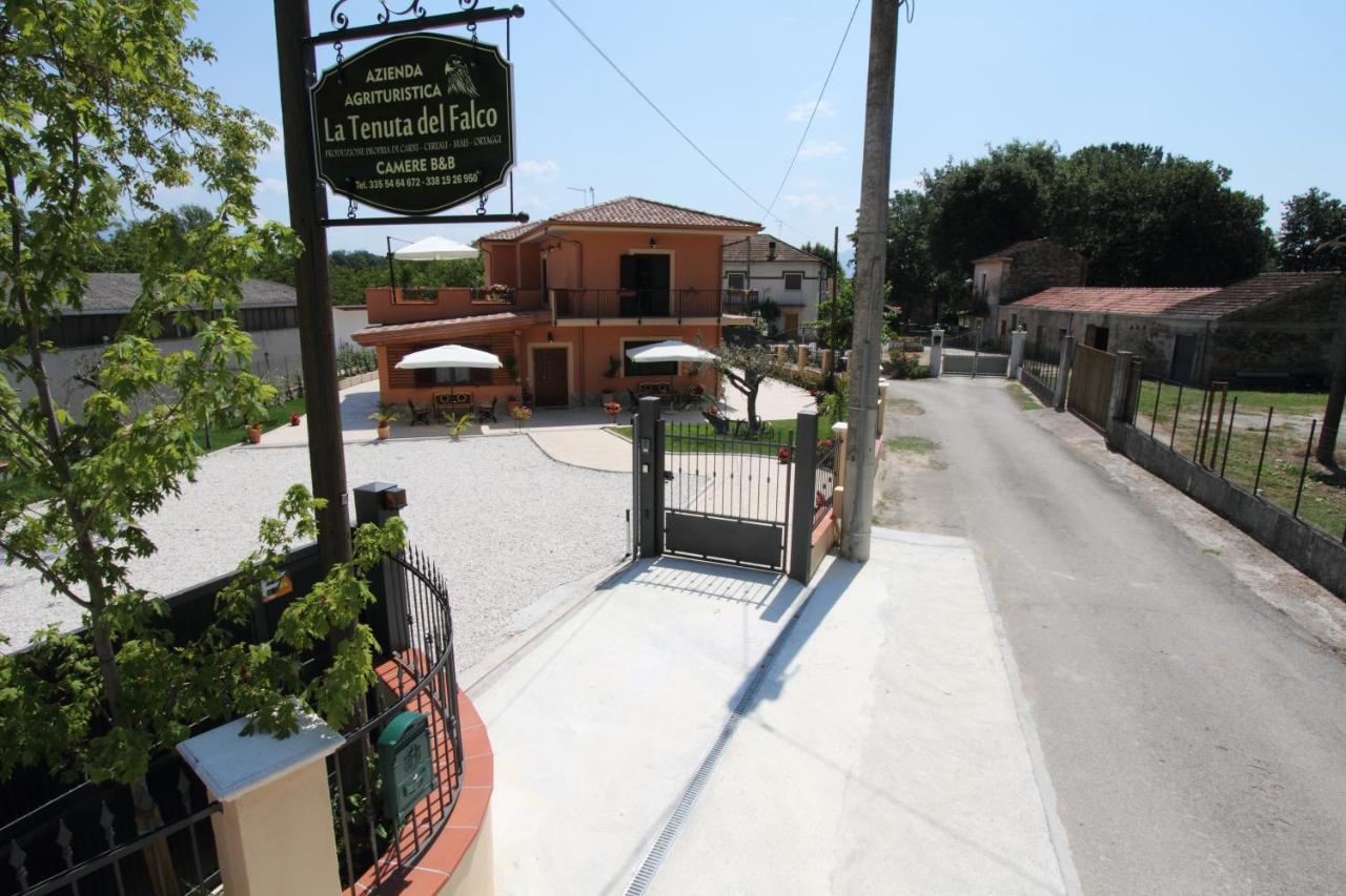 Azienda Agrituristica La Tenuta Del Falco Piedimonte San Germano Экстерьер фото