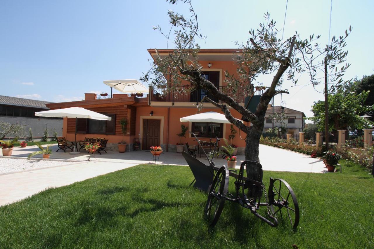 Azienda Agrituristica La Tenuta Del Falco Piedimonte San Germano Экстерьер фото