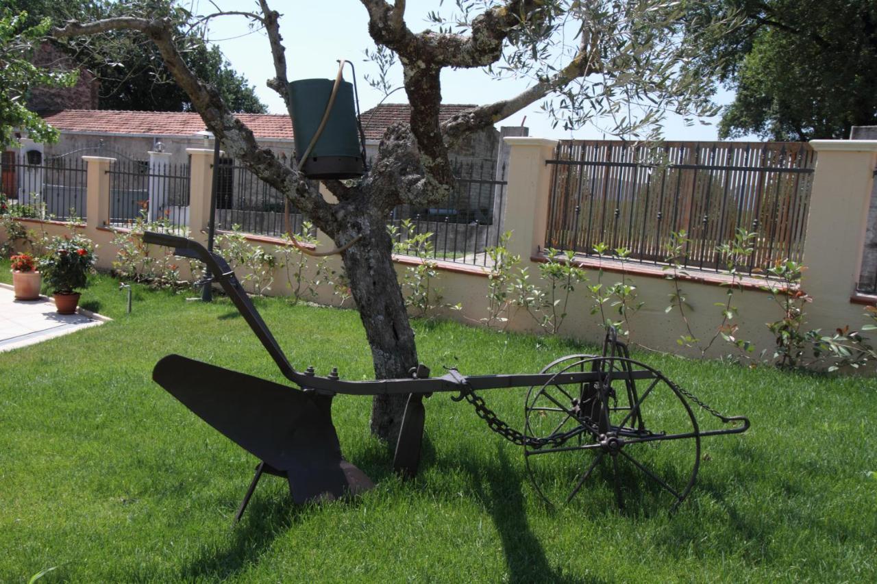 Azienda Agrituristica La Tenuta Del Falco Piedimonte San Germano Экстерьер фото