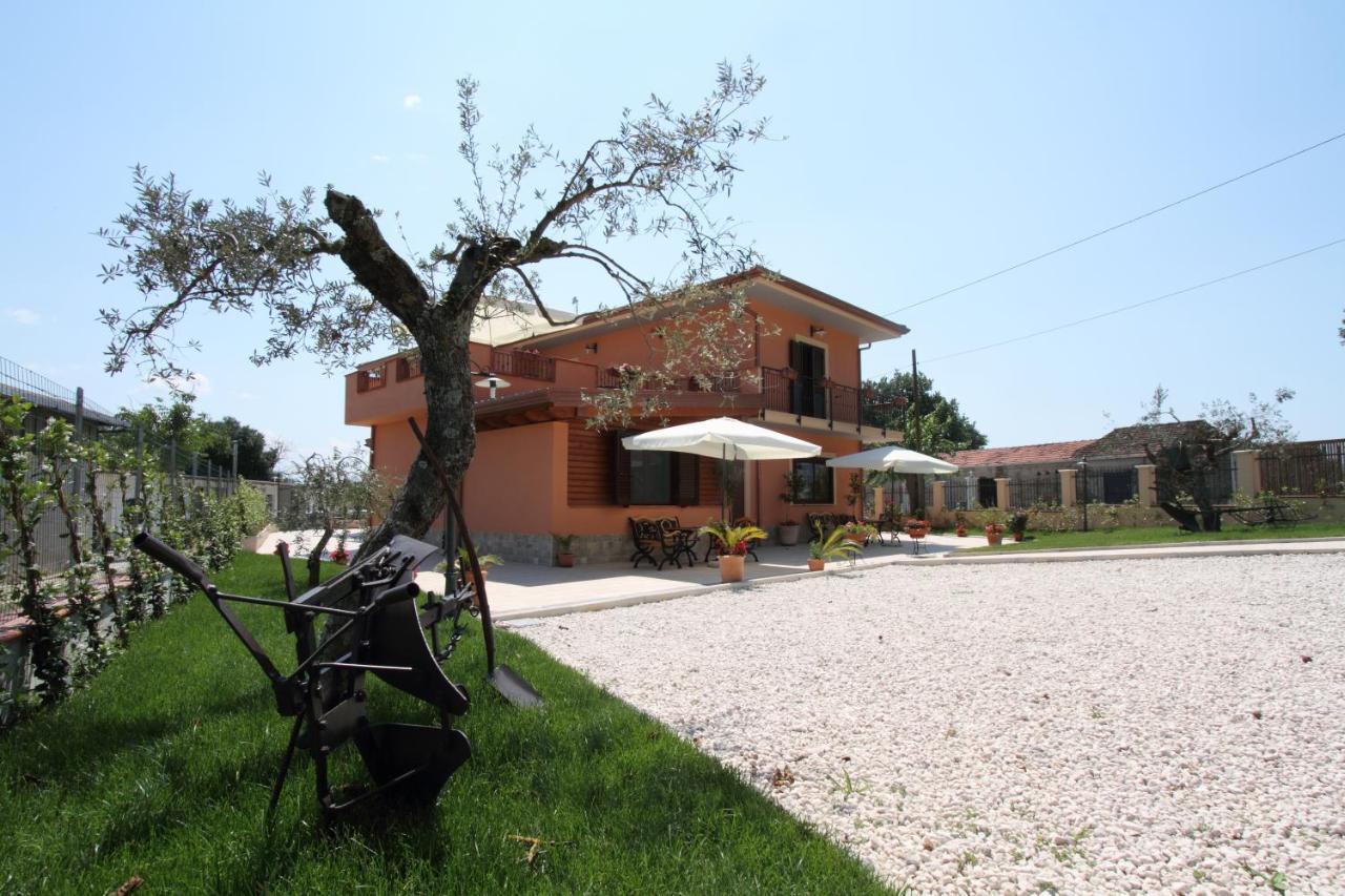 Azienda Agrituristica La Tenuta Del Falco Piedimonte San Germano Экстерьер фото