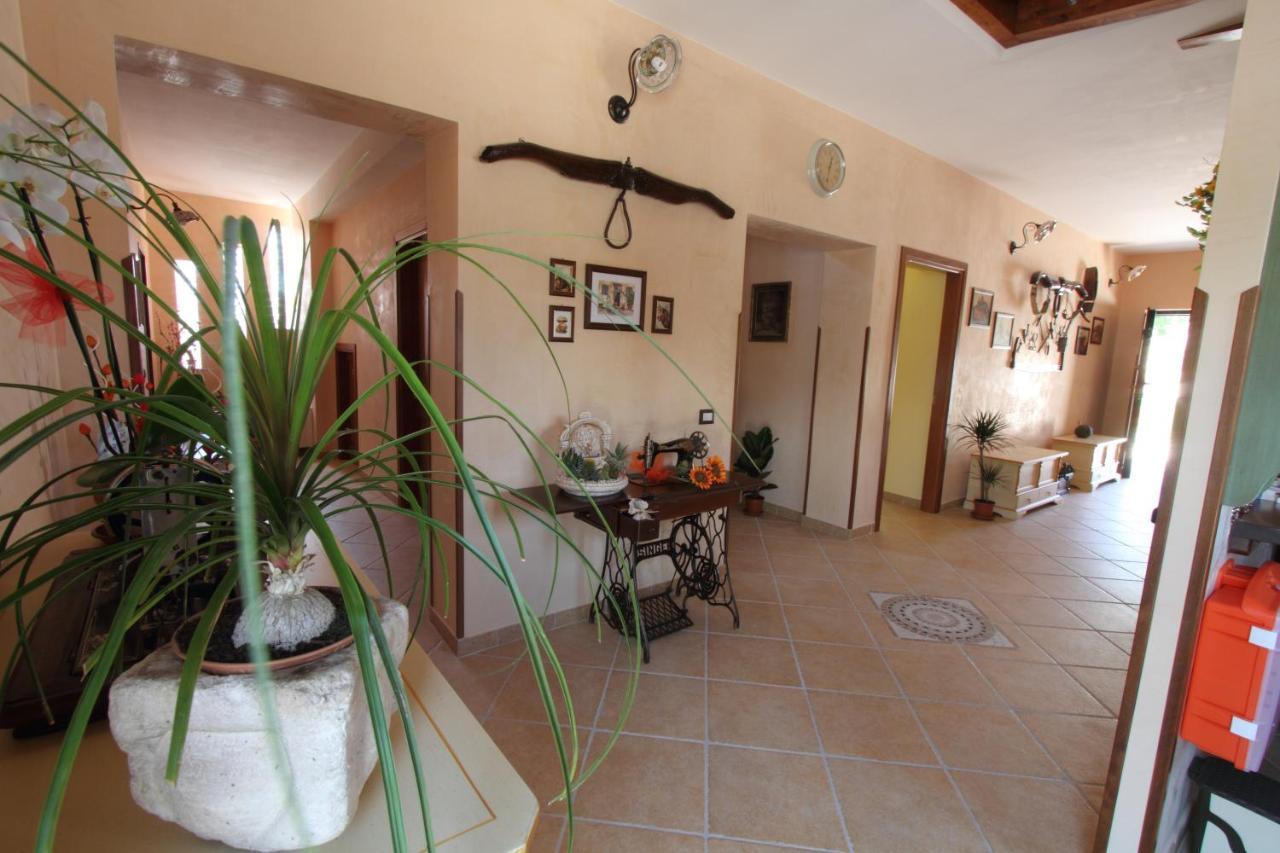 Azienda Agrituristica La Tenuta Del Falco Piedimonte San Germano Экстерьер фото