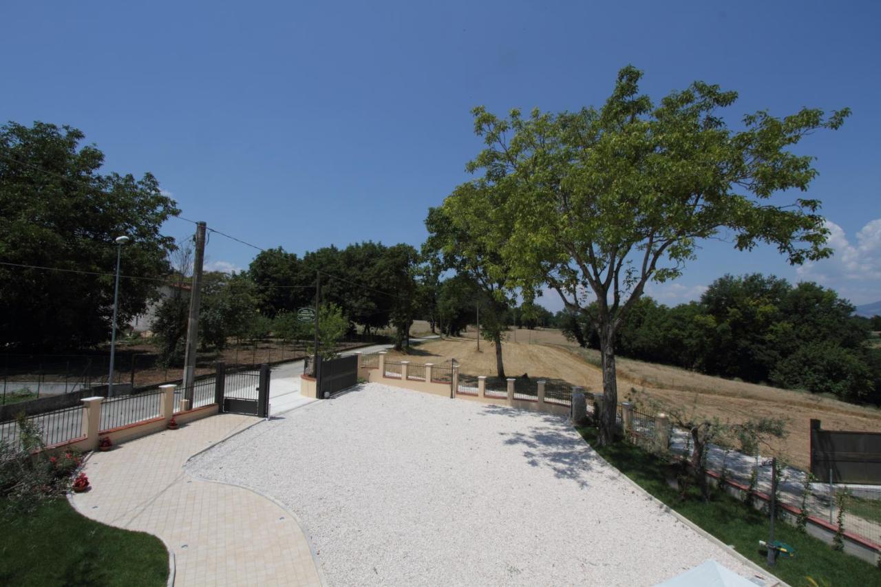 Azienda Agrituristica La Tenuta Del Falco Piedimonte San Germano Экстерьер фото